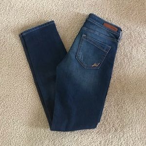 Express Skinny Jeans